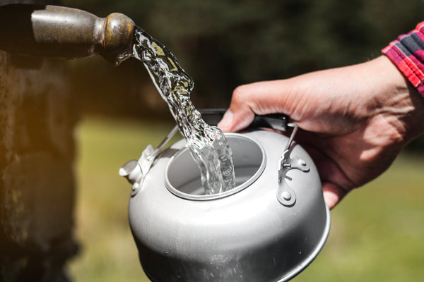 A Comprehensive Guide to Finding and Purifying Water
