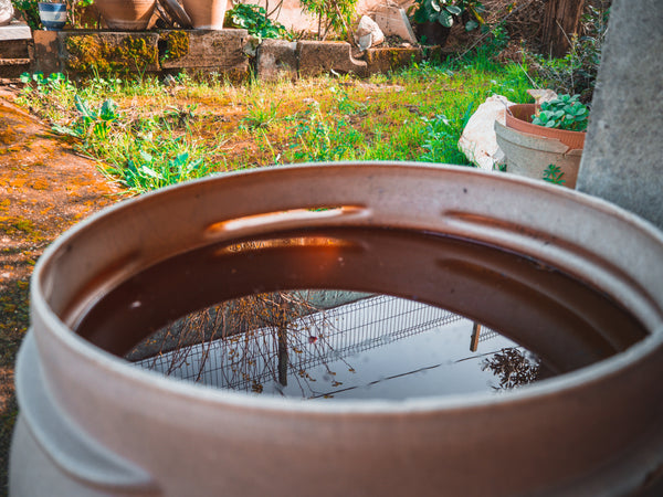 Water Storage for Urban Living: Tips for Storing Water in an Apartment or Suburban Home