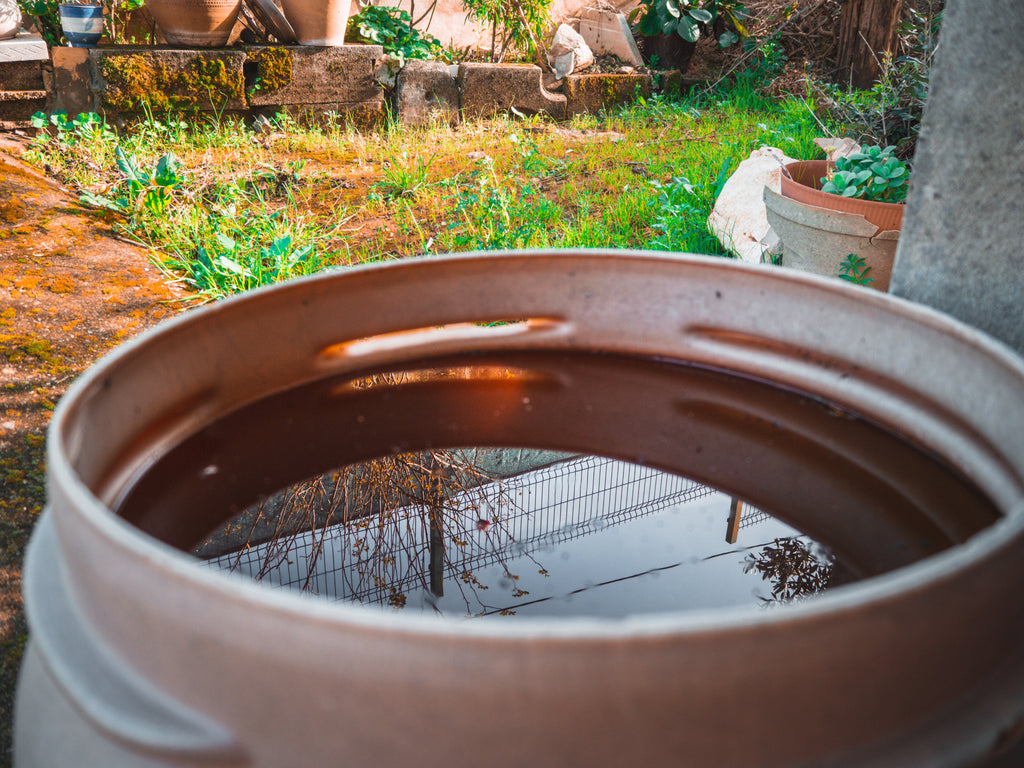 Water Storage for Urban Living: Tips for Storing Water in an Apartment ...